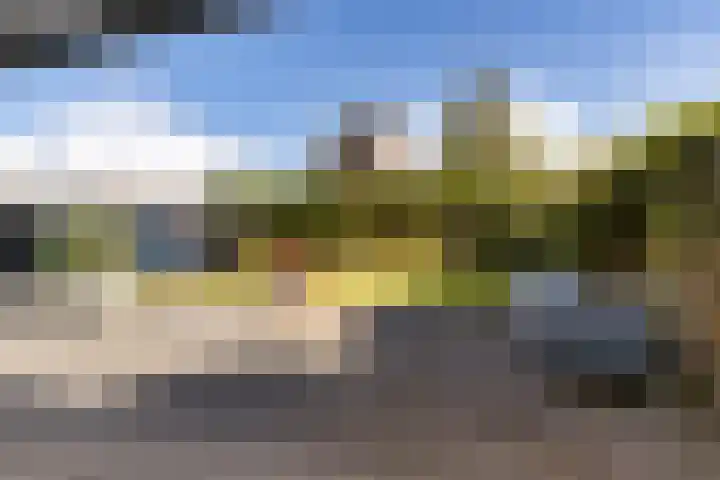 Ganzenerf 103 Delfzijl thumbnail 12