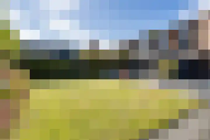 Ganzenerf 103 Delfzijl thumbnail 15