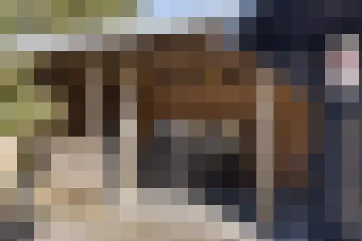 Ganzenerf 103 Delfzijl thumbnail 18