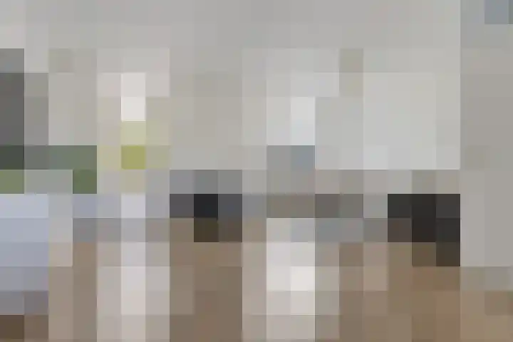 Ganzenerf 103 Delfzijl thumbnail 23