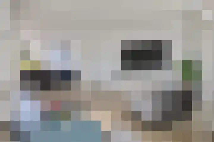Ganzenerf 103 Delfzijl thumbnail 27