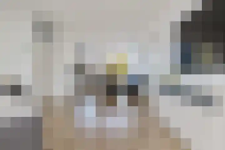 Ganzenerf 103 Delfzijl thumbnail 28