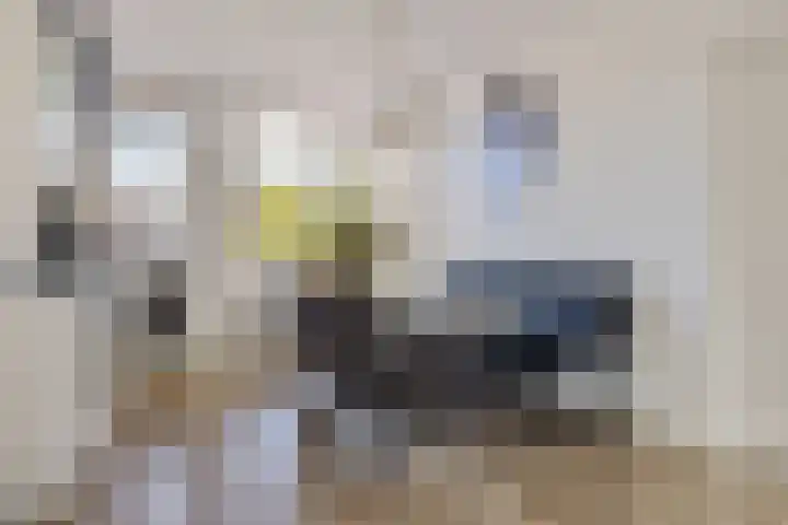 Ganzenerf 103 Delfzijl thumbnail 29