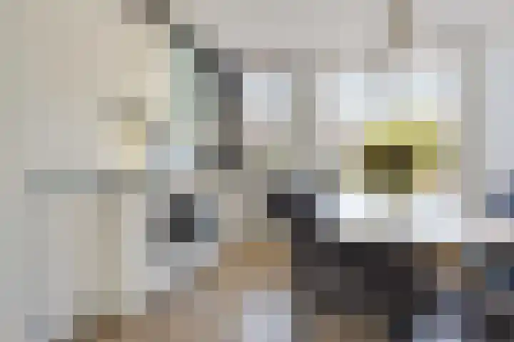 Ganzenerf 103 Delfzijl thumbnail 30