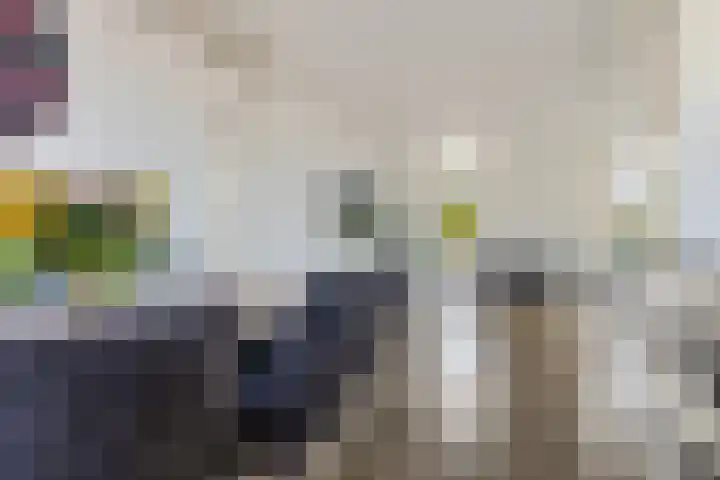 Ganzenerf 103 Delfzijl thumbnail 32