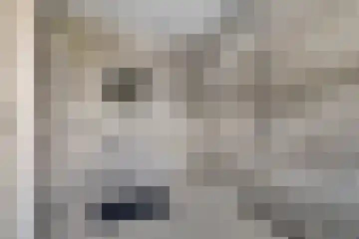 Ganzenerf 103 Delfzijl thumbnail 36