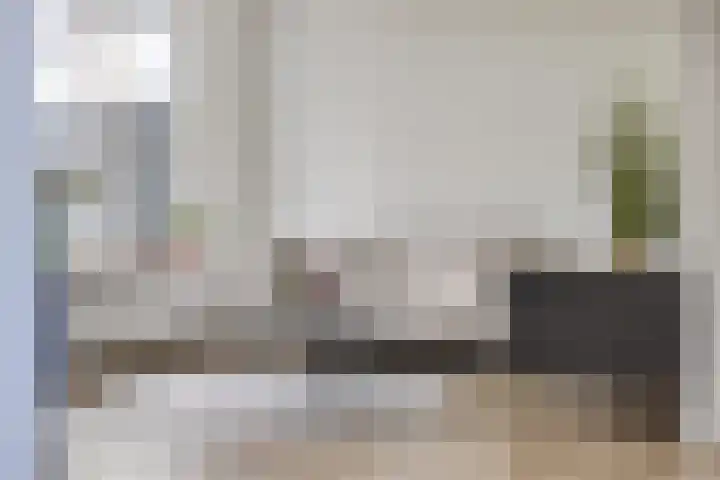Ganzenerf 103 Delfzijl thumbnail 4