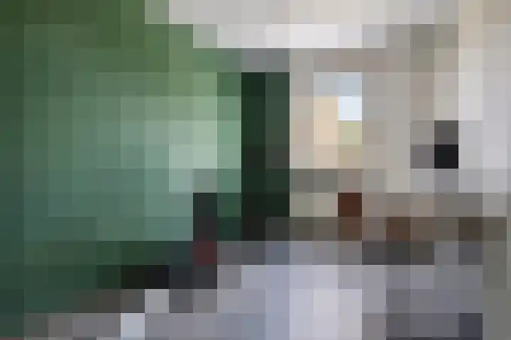 Ganzenerf 103 Delfzijl thumbnail 43