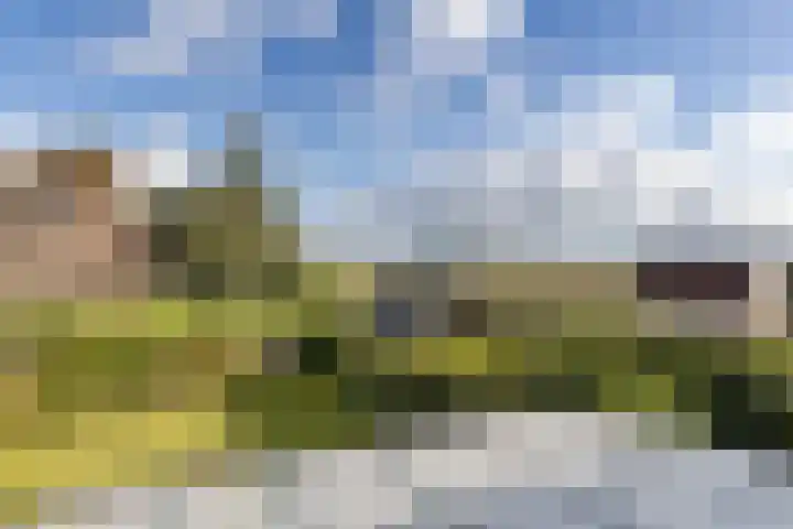 Ganzenerf 103 Delfzijl thumbnail 46