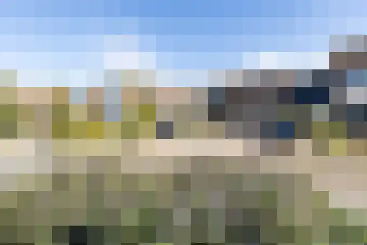Ganzenerf 103 Delfzijl thumbnail 6
