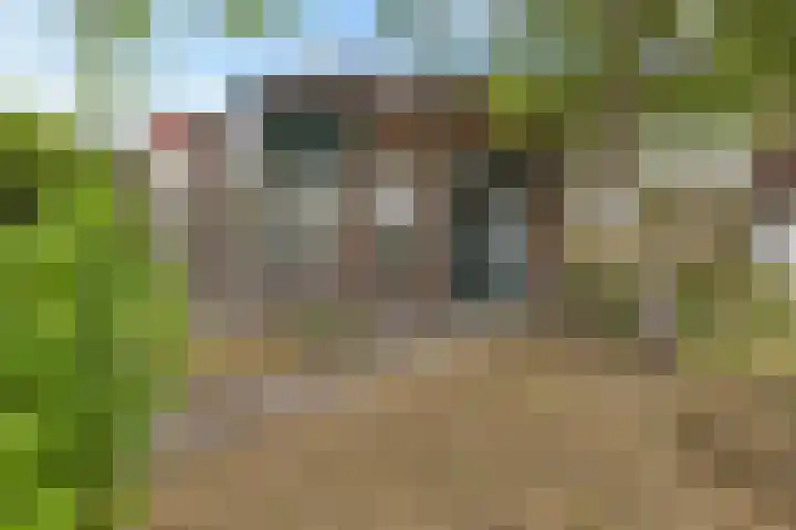 Ganzenerf 113 Delfzijl thumbnail 10