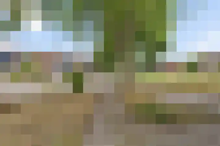 Ganzenerf 113 Delfzijl thumbnail 11