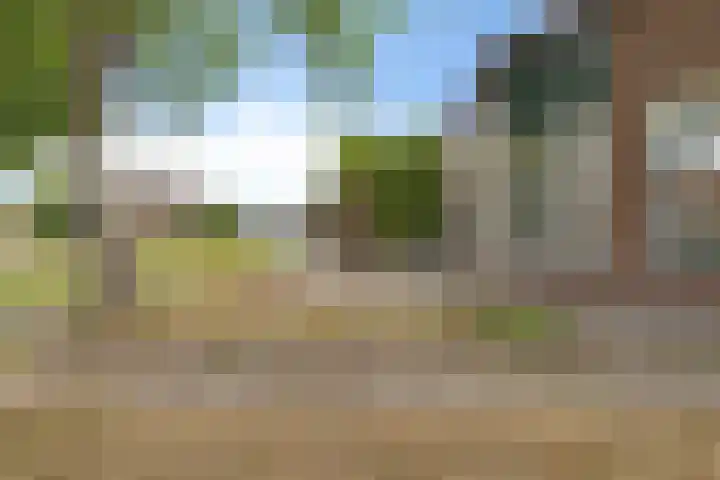 Ganzenerf 113 Delfzijl thumbnail 12