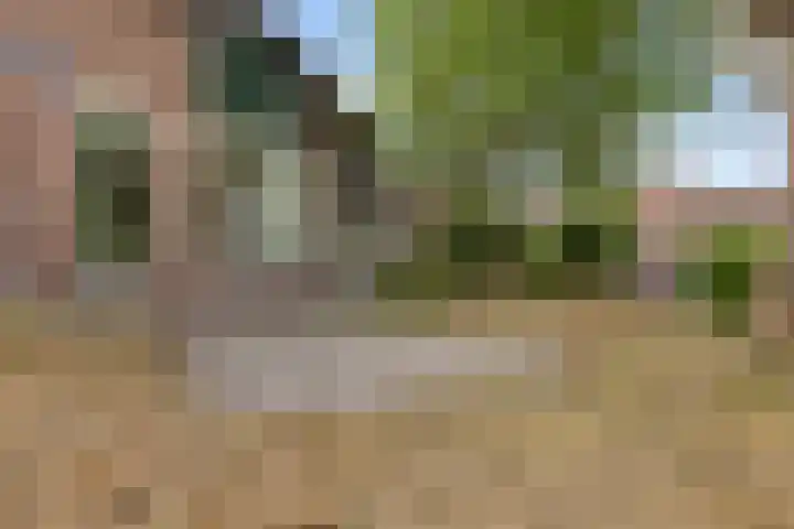Ganzenerf 113 Delfzijl thumbnail 13