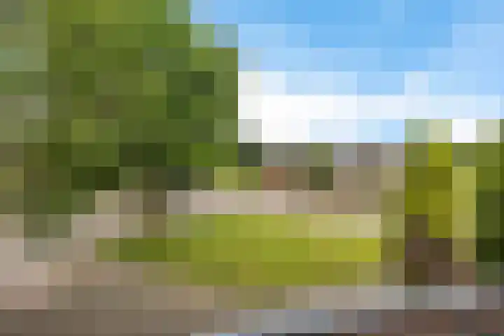 Ganzenerf 113 Delfzijl thumbnail 14