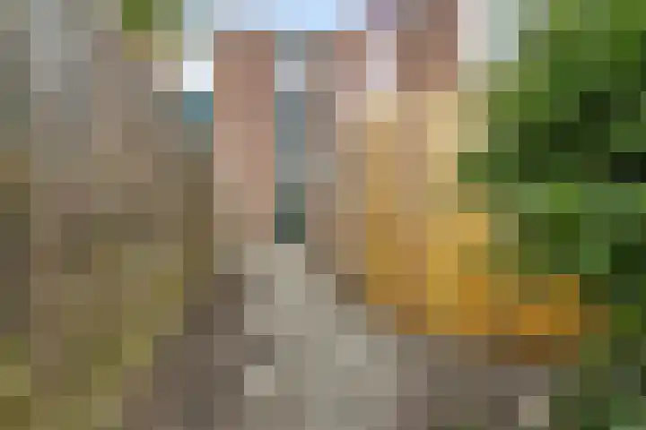 Ganzenerf 113 Delfzijl thumbnail 15