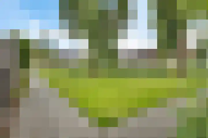Ganzenerf 113 Delfzijl thumbnail 16