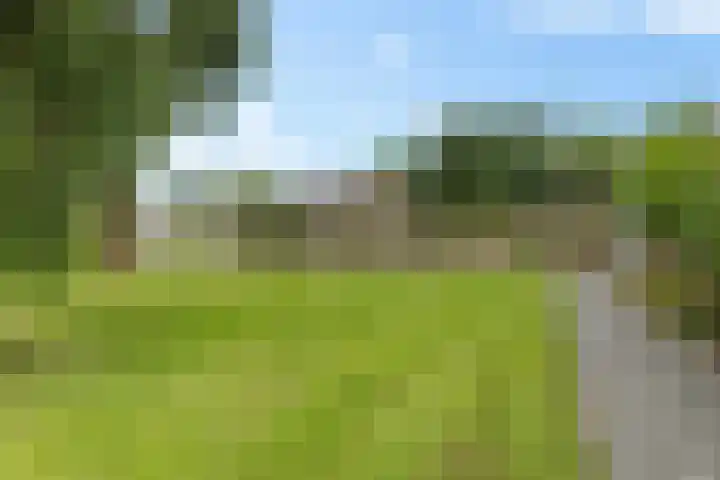 Ganzenerf 113 Delfzijl thumbnail 17
