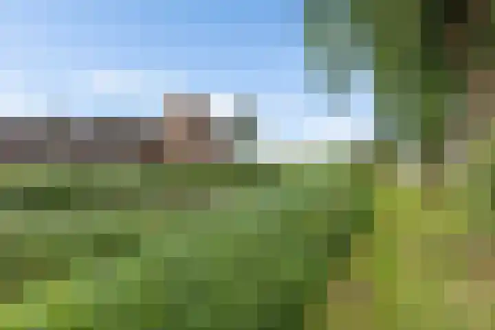 Ganzenerf 113 Delfzijl thumbnail 18