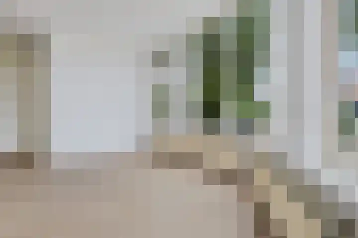 Ganzenerf 113 Delfzijl thumbnail 23