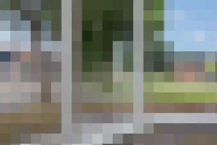 Ganzenerf 113 Delfzijl thumbnail 24