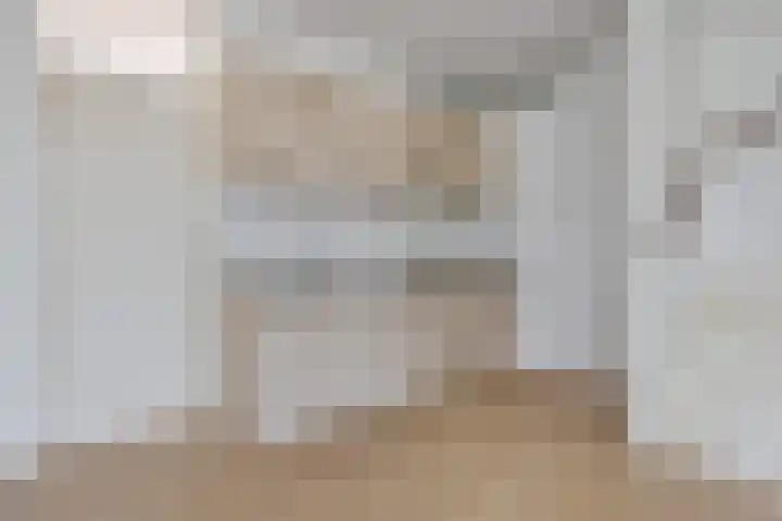 Ganzenerf 113 Delfzijl thumbnail 27