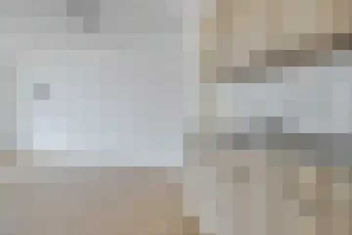 Ganzenerf 113 Delfzijl thumbnail 29