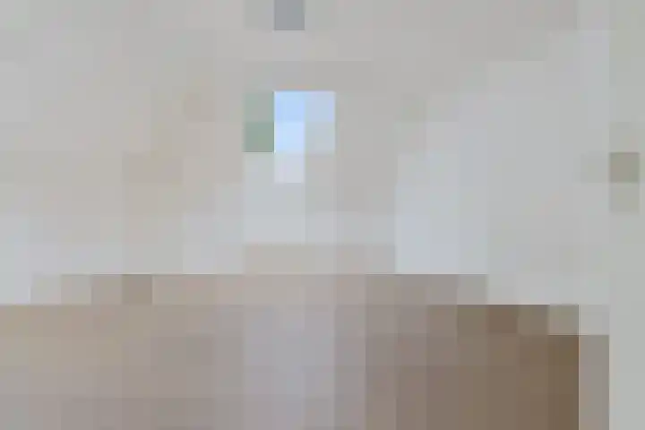 Ganzenerf 113 Delfzijl thumbnail 36