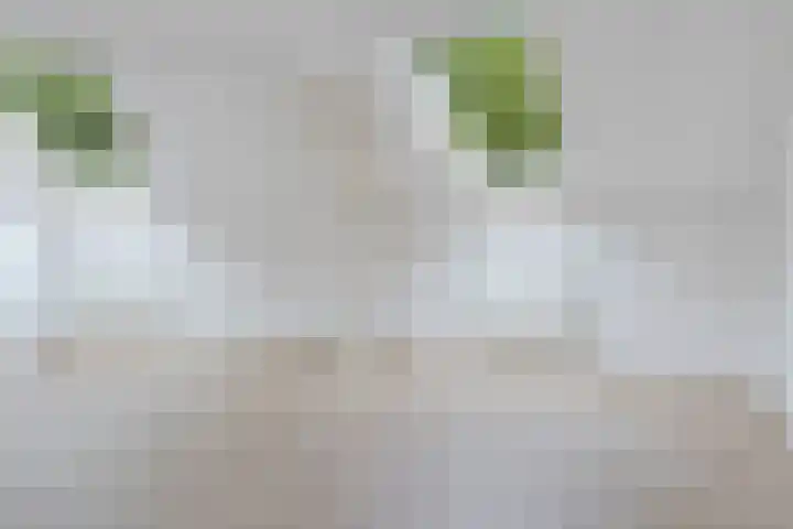 Ganzenerf 113 Delfzijl thumbnail 38