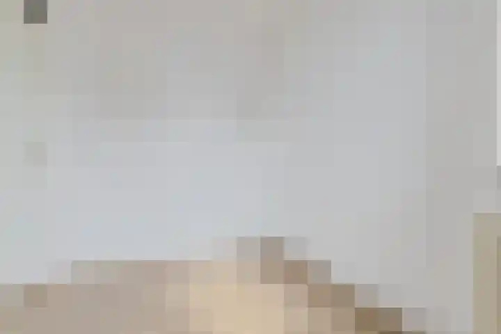 Ganzenerf 113 Delfzijl thumbnail 40