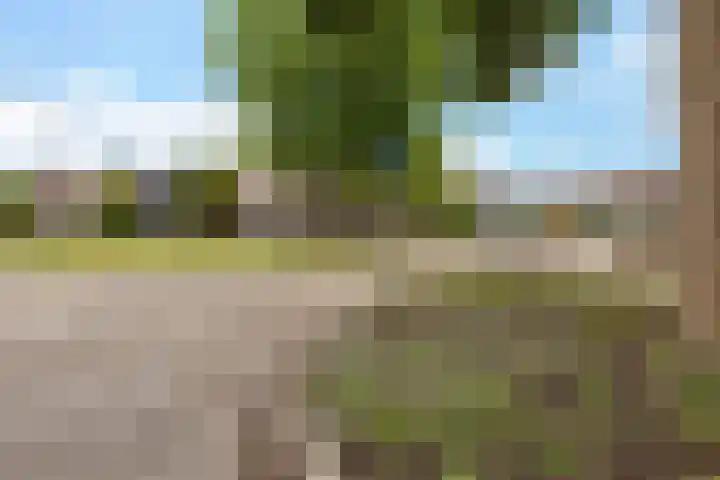 Ganzenerf 113 Delfzijl thumbnail 6