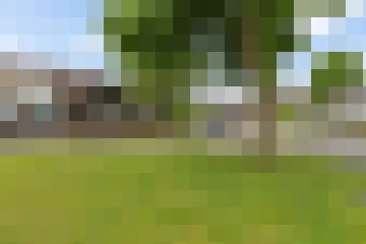 Ganzenerf 113 Delfzijl thumbnail 7