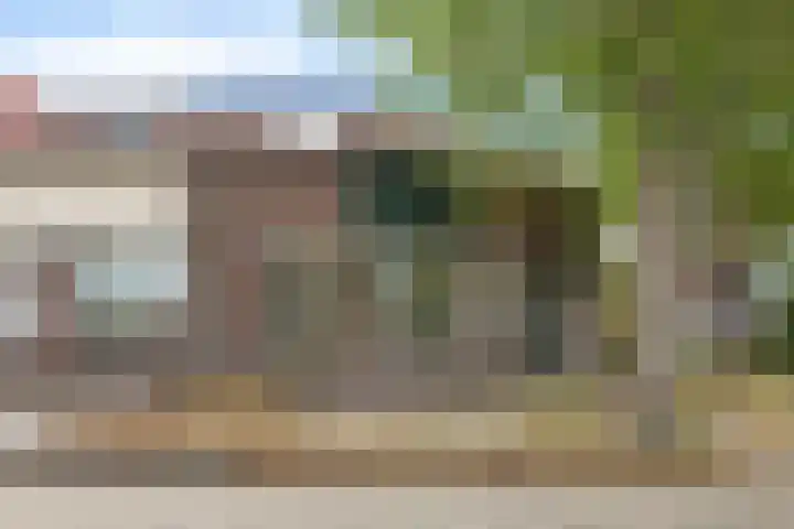 Ganzenerf 113 Delfzijl thumbnail 8