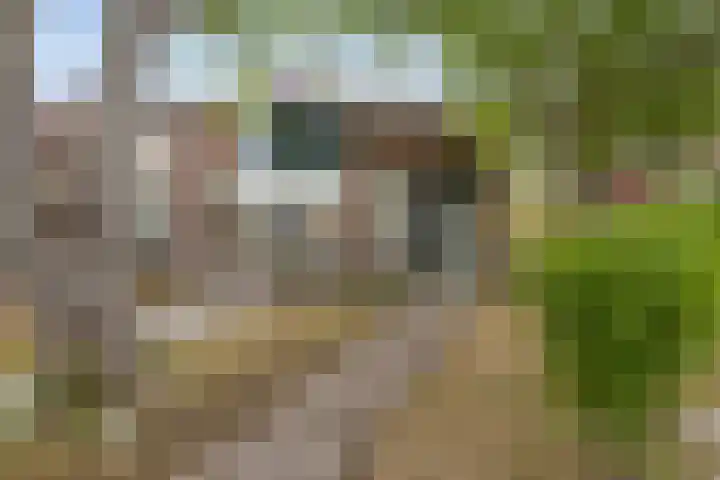 Ganzenerf 113 Delfzijl thumbnail 9
