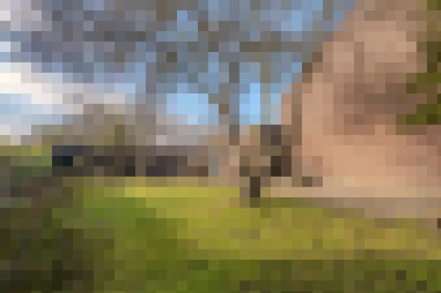 Ganzenerf 120 Delfzijl thumbnail 10