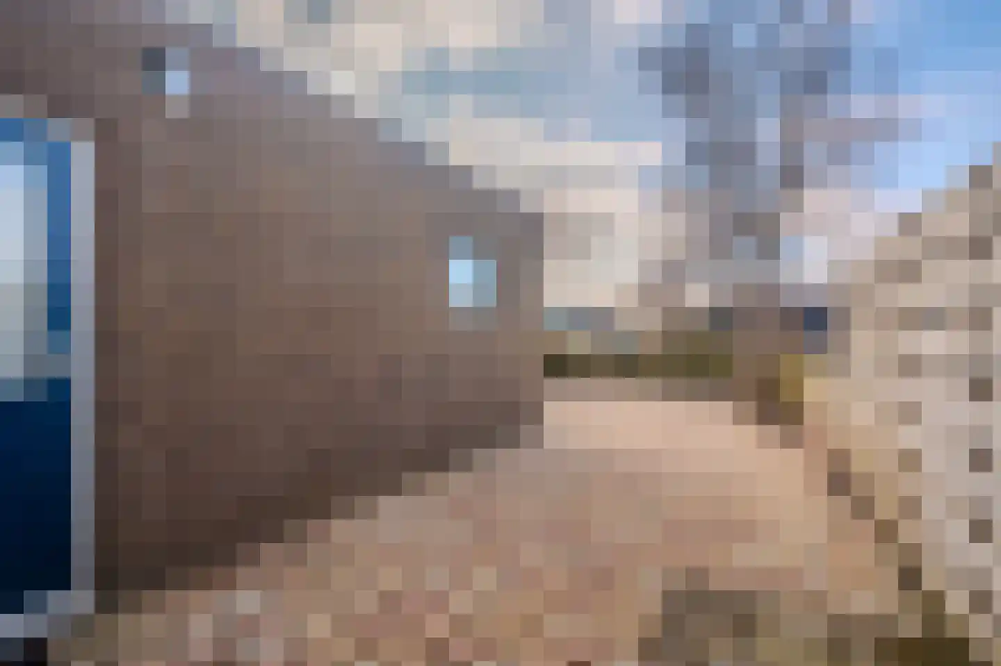 Ganzenerf 120 Delfzijl thumbnail 13