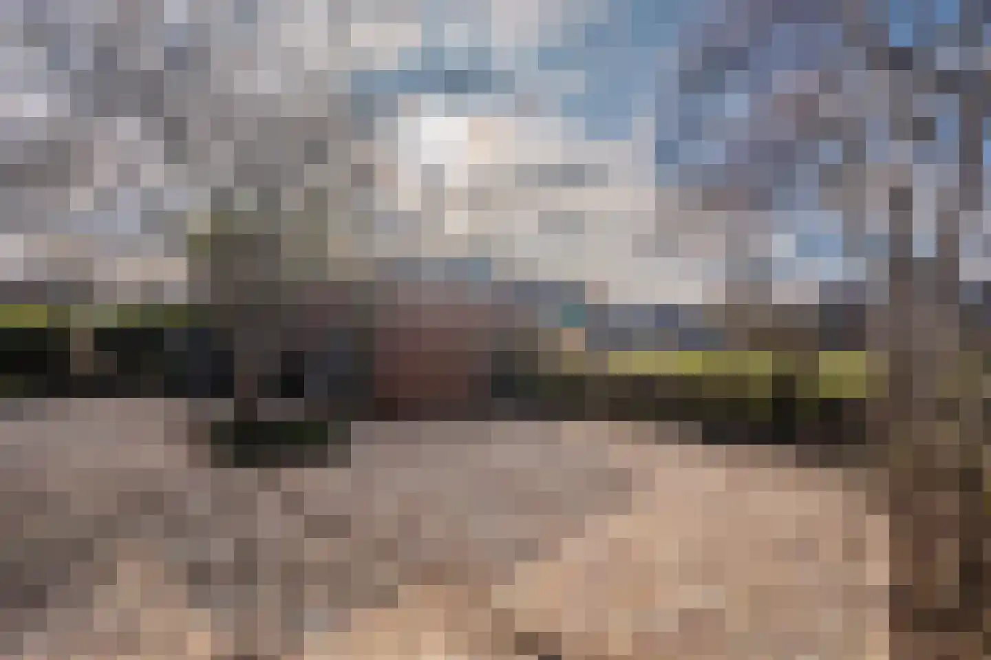 Ganzenerf 120 Delfzijl thumbnail 14