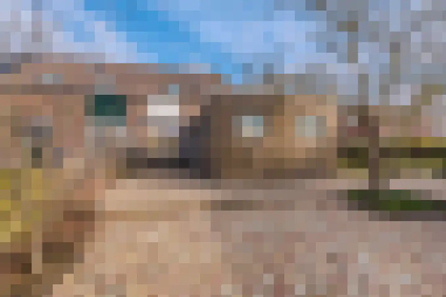 Ganzenerf 120 Delfzijl thumbnail 15