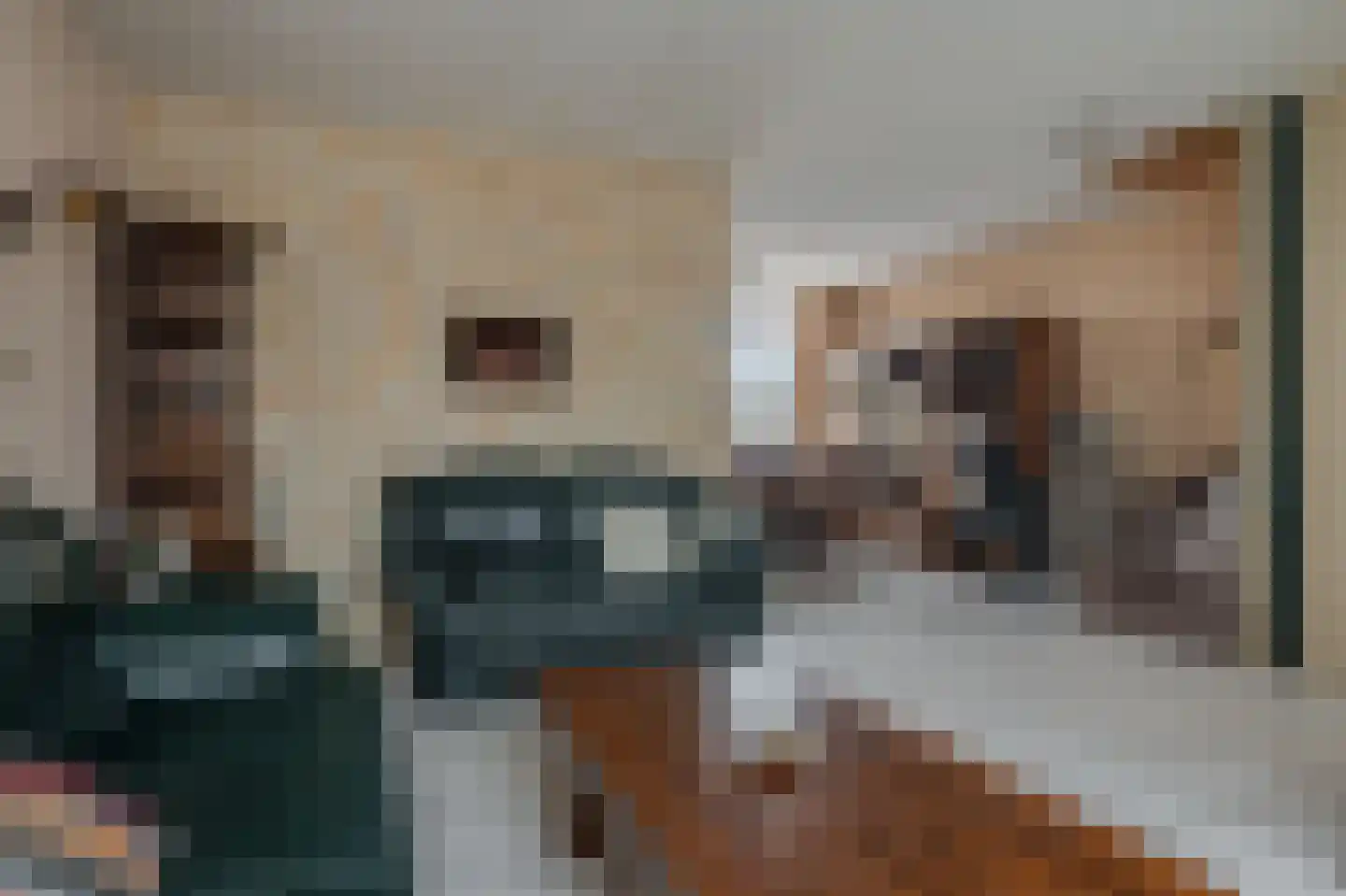 Ganzenerf 120 Delfzijl thumbnail 24