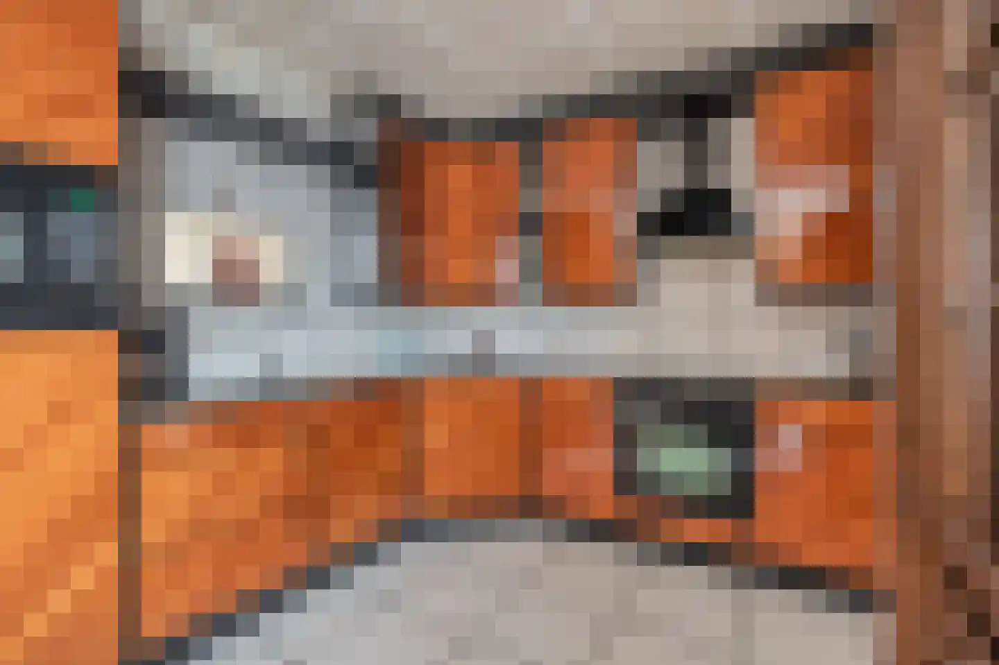 Ganzenerf 120 Delfzijl thumbnail 29