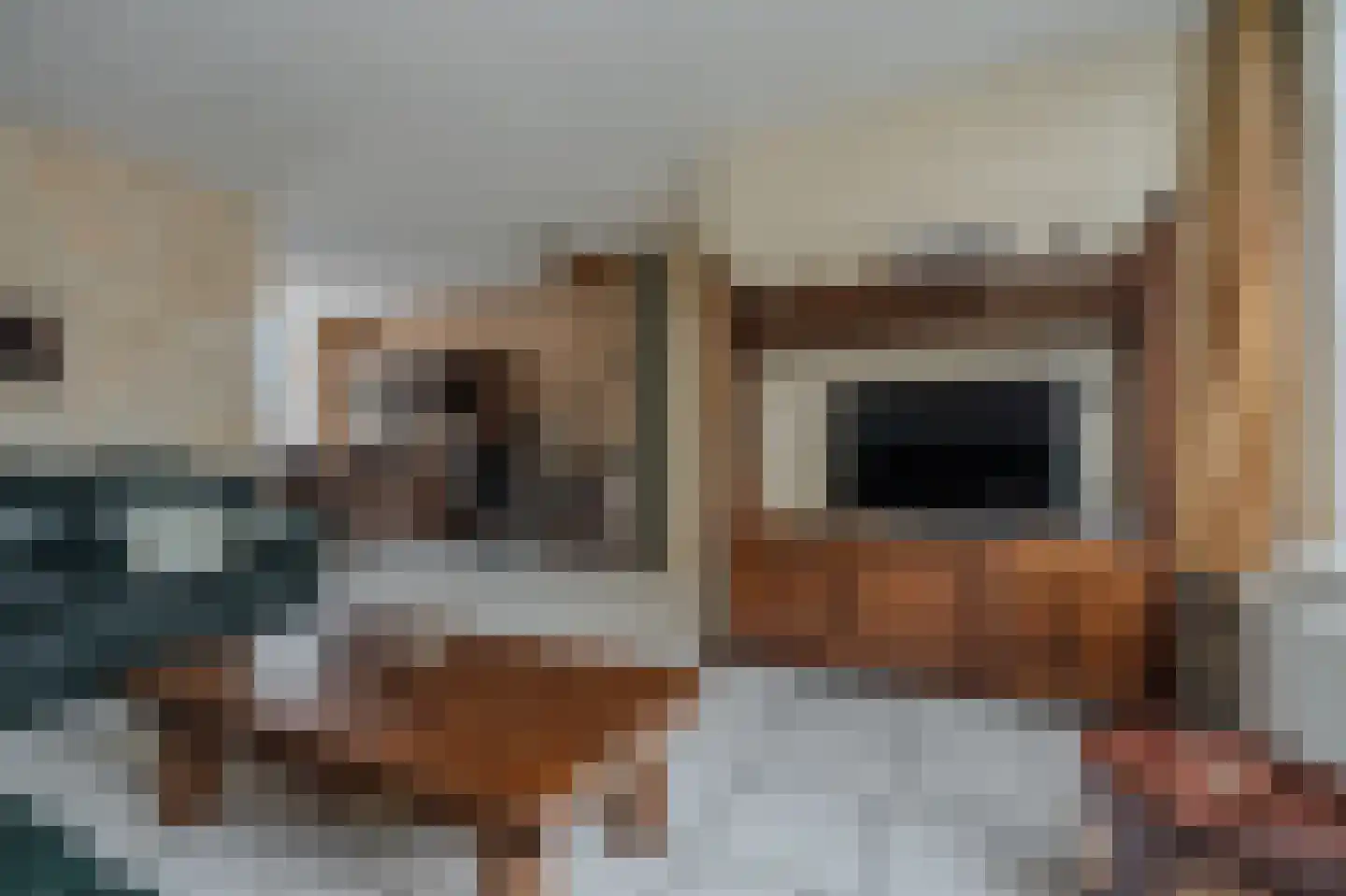 Ganzenerf 120 Delfzijl thumbnail 4