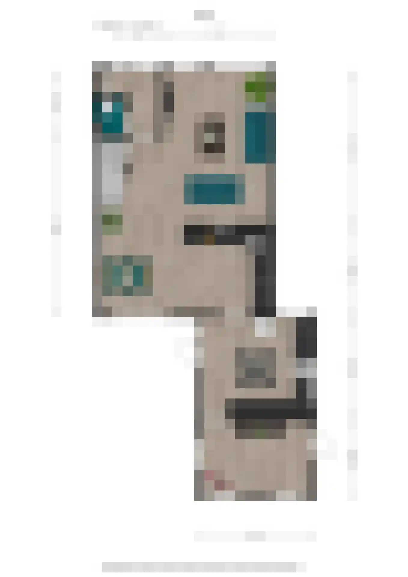 Ganzenerf 120 Delfzijl thumbnail 44