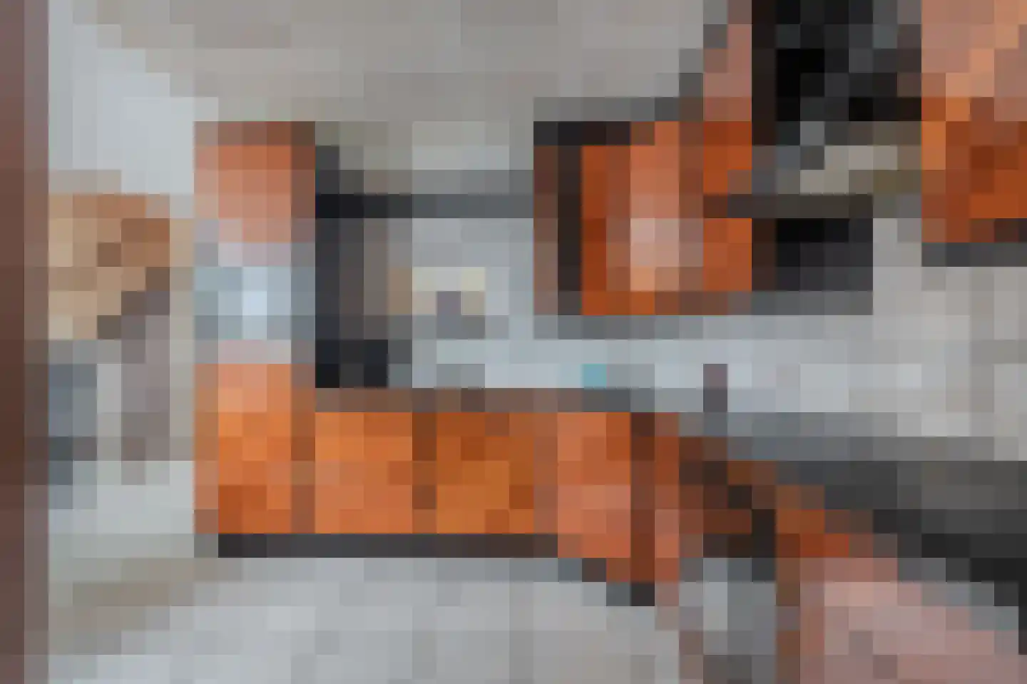 Ganzenerf 120 Delfzijl thumbnail 5