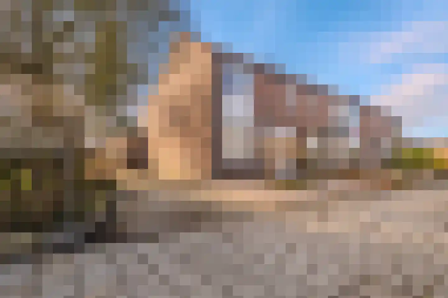 Ganzenerf 120 Delfzijl thumbnail 7