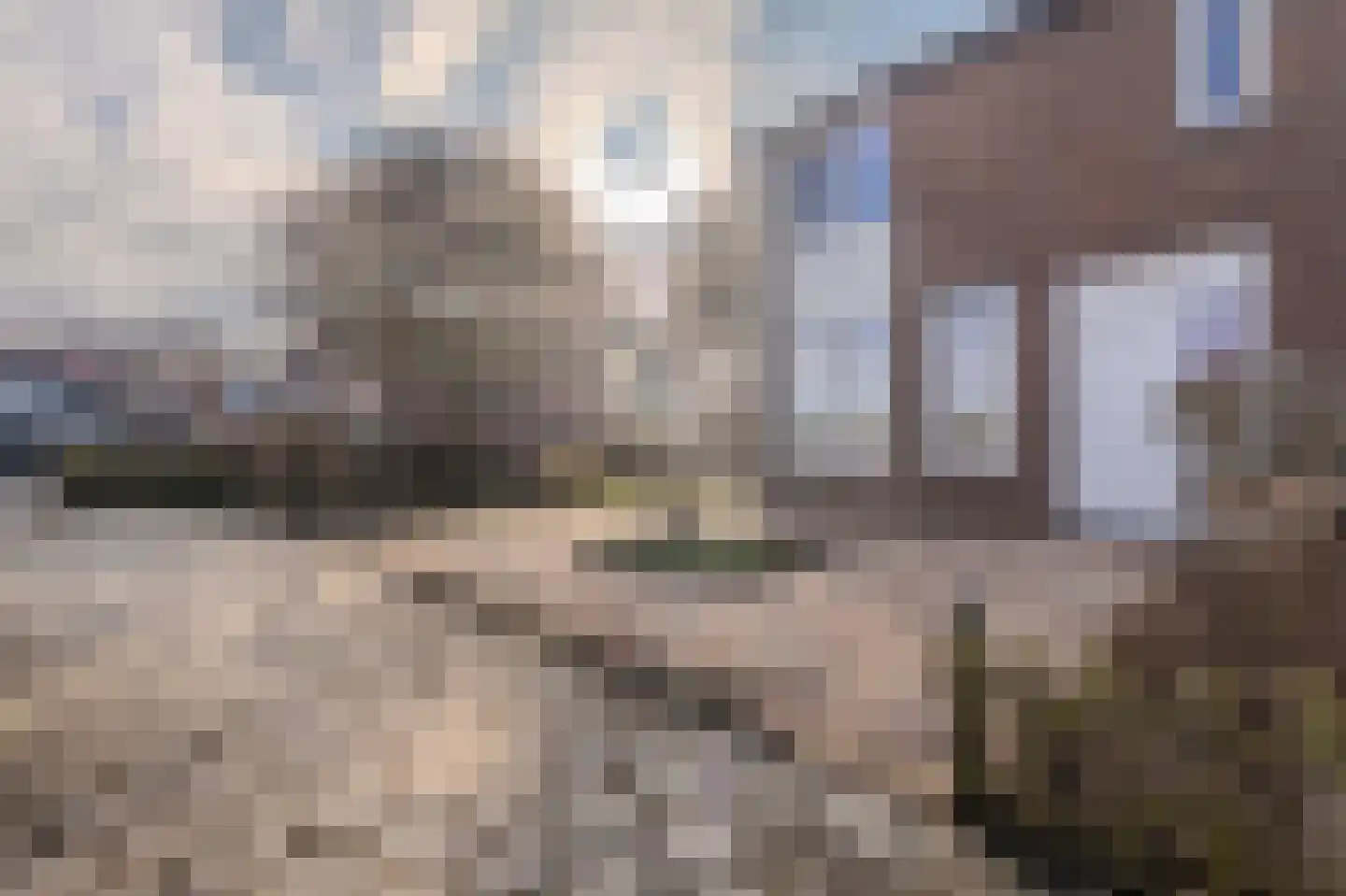 Ganzenerf 120 Delfzijl thumbnail 8