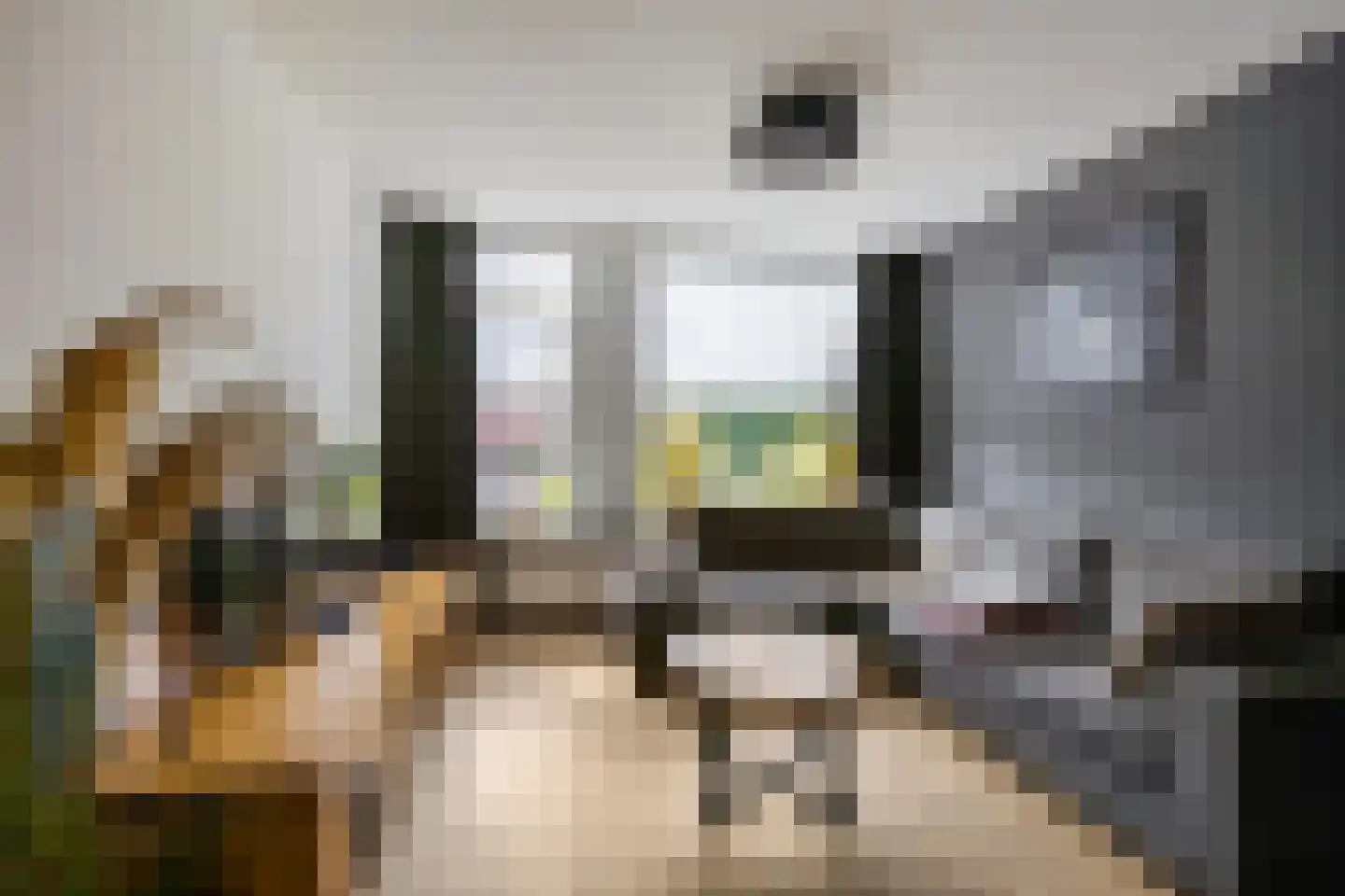 Ganzenerf 42 Delfzijl thumbnail 12