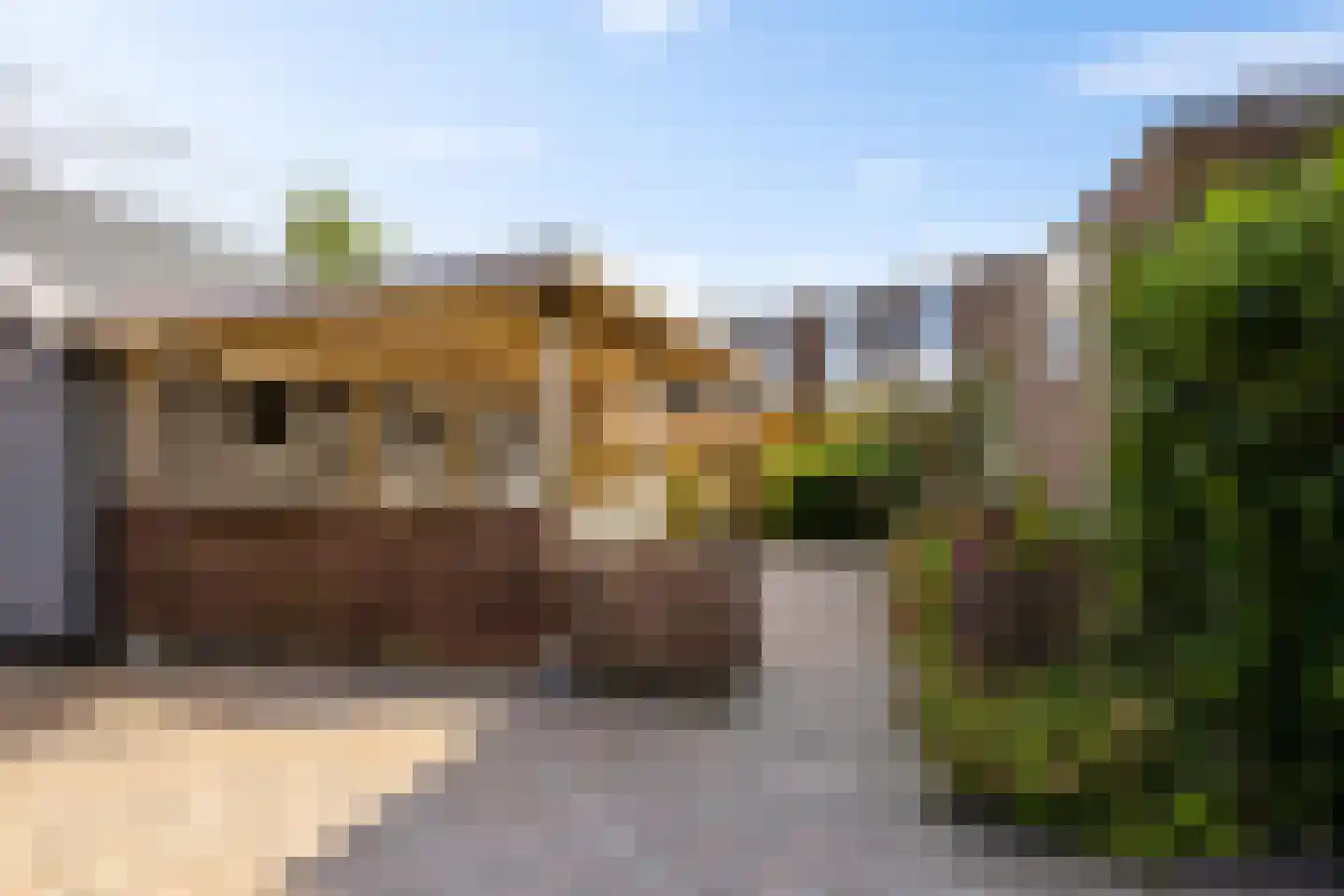 Ganzenerf 42 Delfzijl thumbnail 41