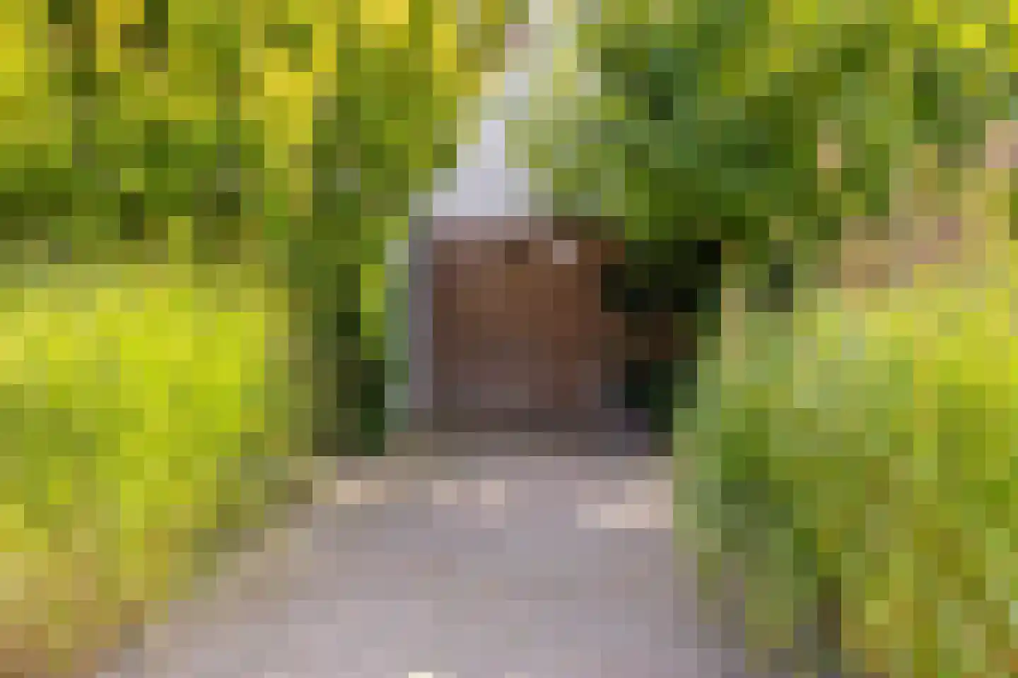 Ganzenerf 42 Delfzijl thumbnail 43