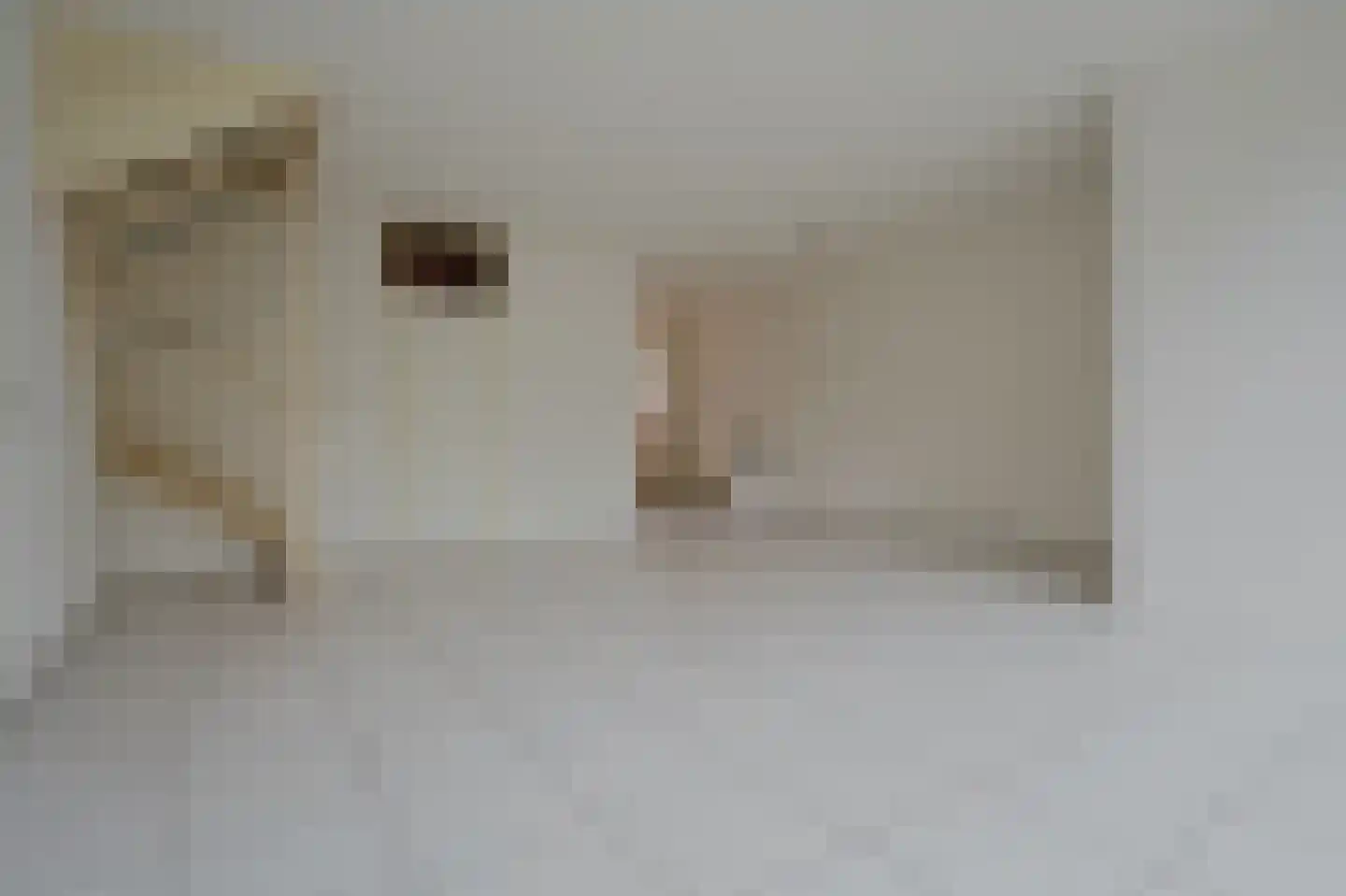Ganzenhoek 12 Spijkenisse thumbnail 13