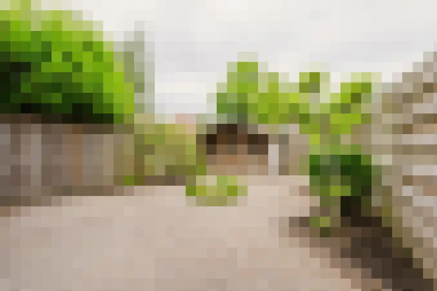 Ganzenhoek 12 Spijkenisse thumbnail 18